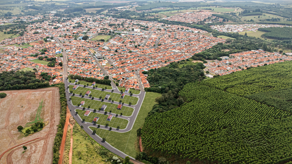 Novo Horizonte Linda Fanton