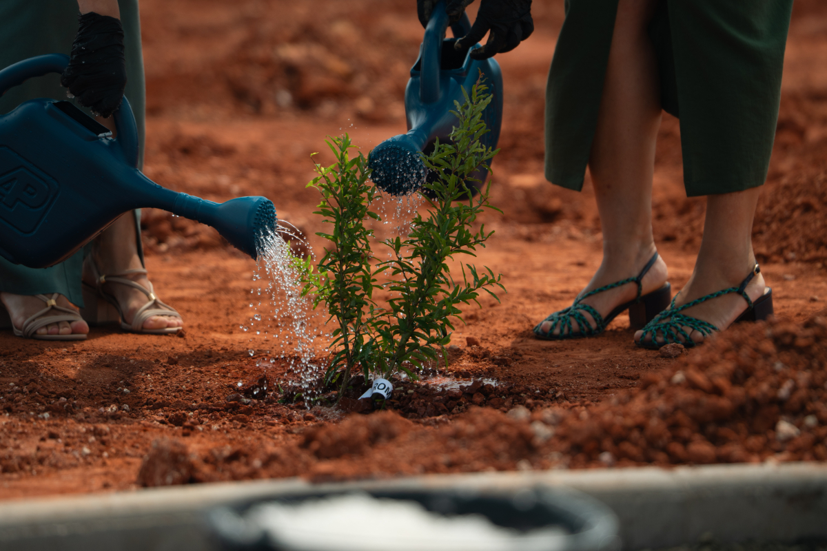 [Ellenco  e Moura Leite Loteamentos celebram o avanço de obras do Reserva dos Ypês IV com evento de plantio de mudas]